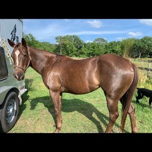 Meet your Posher, Kayla